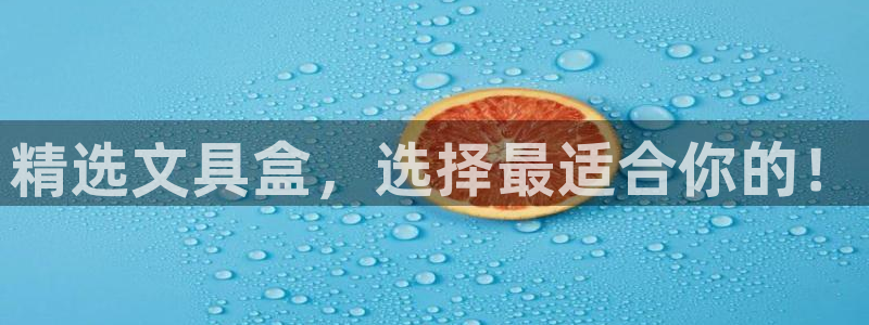 卧龙娱乐总管：精选文具盒，选择最适合你的