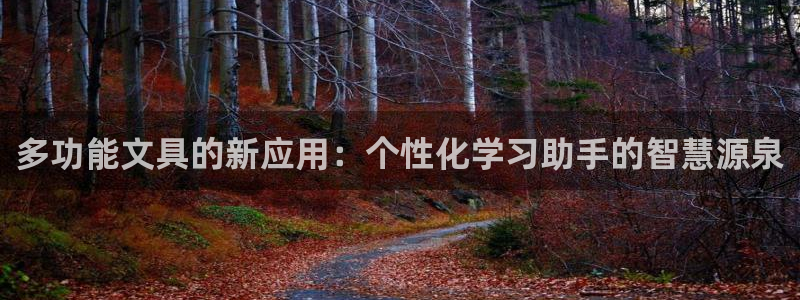 创亿娱乐d卧龙313322：多功能文具的