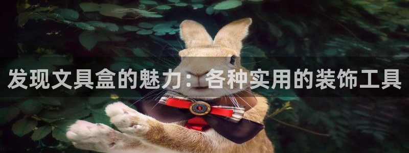 卧龙岗娱乐：发现文具盒的魅力：各种实用的