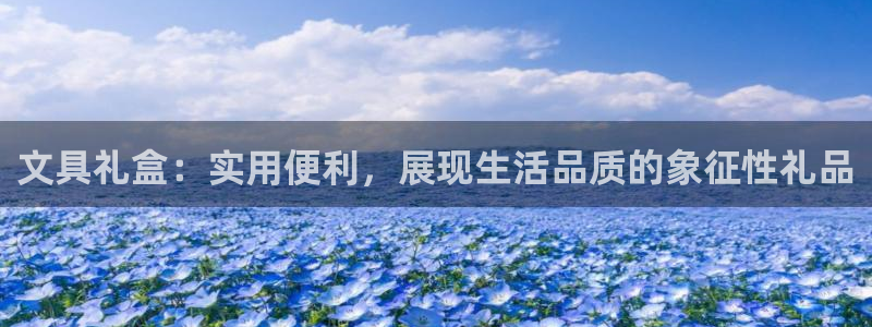 广丰卧龙城娱乐：文具礼盒：实用便利，展现