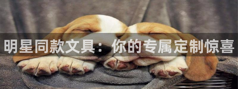 卧龙路凤凰娱乐：明星同款文具：你的专属定