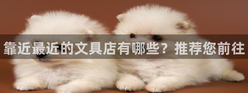 卧龙娱乐app彩票下载：靠近最近的文具店