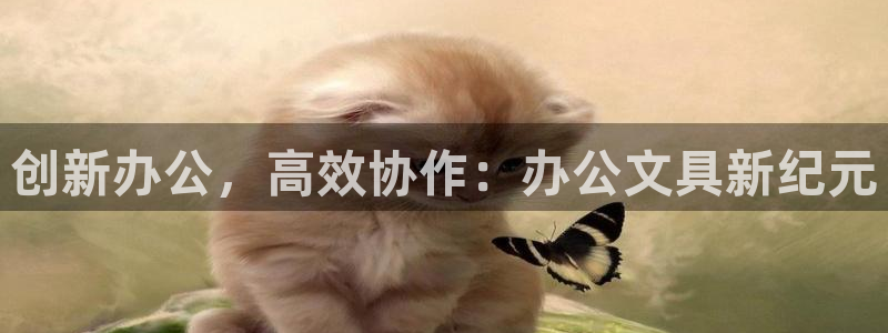 卧龙娱乐挂机：创新办公，高效协作：办公文