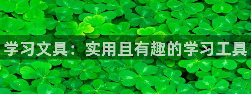 万景娱乐 卧龙：学习文具：实用且有趣的学