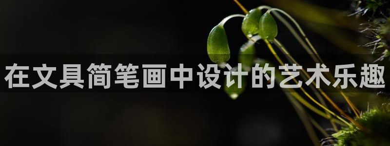 卧龙凤雏娱乐夫妻：在文具简笔画中设计的艺