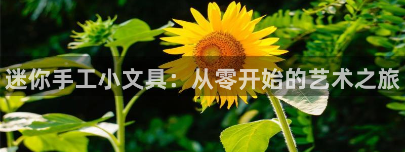 卧龙台球娱乐会所电话：迷你手工小文具：从