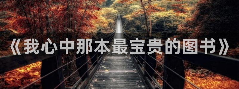 卧龙2神机娱乐攻略：《我心中那本最宝贵的