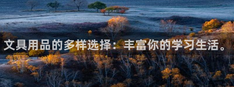 卧龙凤锄娱乐演员：文具用品的多样选择：丰