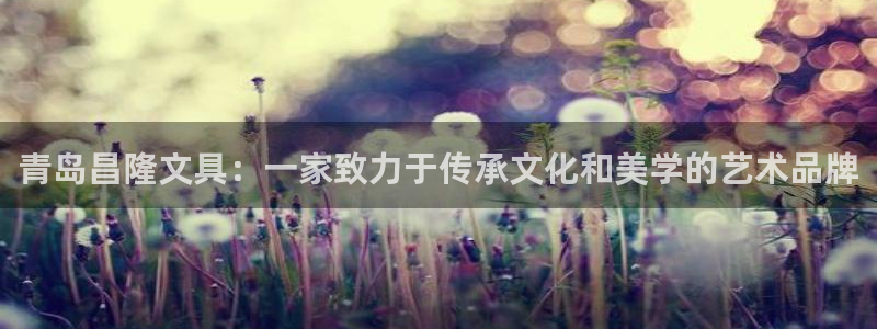 卧龙娱乐找382223：青岛昌隆文具：一