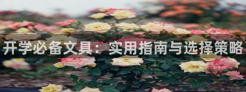 卧龙娱乐平台登录：开学必备文具：实用指南