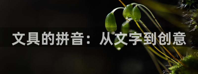 卧龙娱乐在线直播观看：文具的拼音：从文字