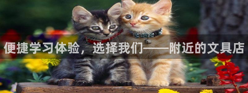 卧龙娱乐彩票官网：便捷学习体验，选择我们