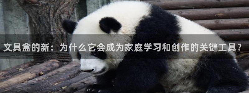 卧龙岗娱乐：文具盒的新：为什么它会成为家