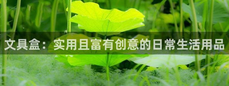 卧龙娱乐后：文具盒：实用且富有创意的日常