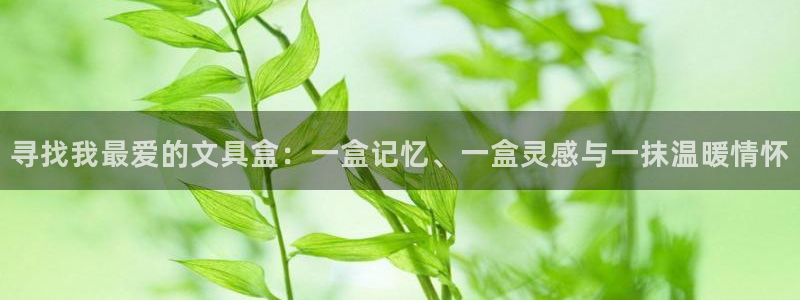 卧龙凤雏娱乐版：寻找我最爱的文具盒：一盒