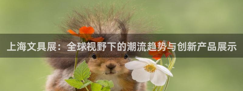 卧龙娱乐平台靠谱：上海文具展：全球视野下