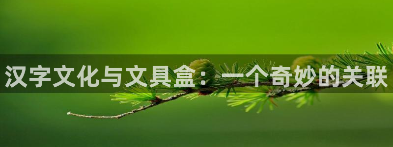 郑州卧龙娱乐王凯旋简历：汉字文化与文具盒