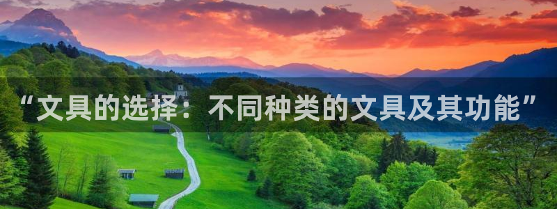 卧龙娱乐怎样：“文具的选择：不同种类的文