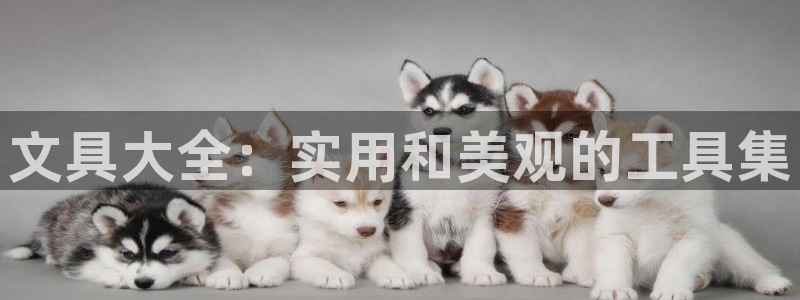 pt娱乐 卧龙招商60447：文具大全：