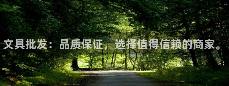 卧龙娱乐挂机软件：文具批发：品质保证，选