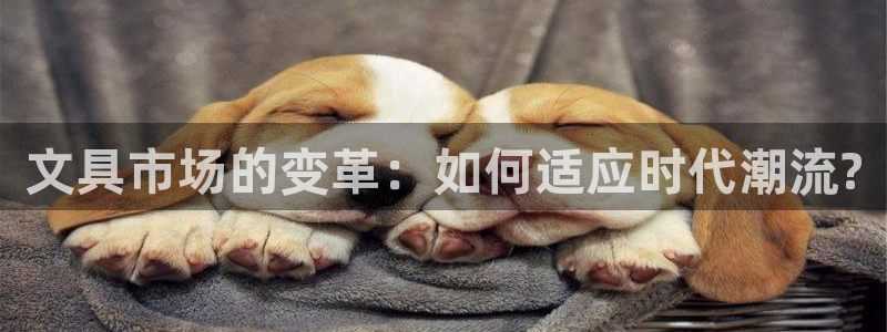 开远卧龙谷娱乐：文具市场的变革：如何适应