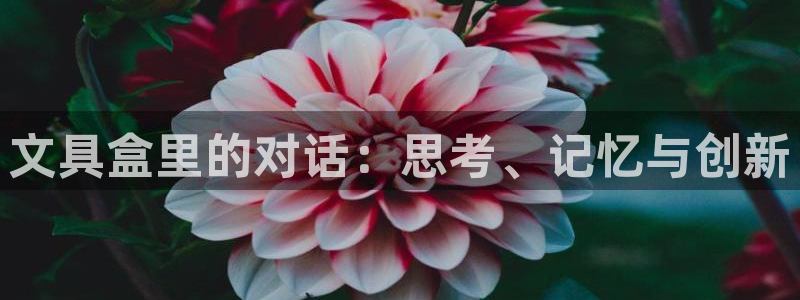 卧龙娱乐拆卡：文具盒里的对话：思考、记忆