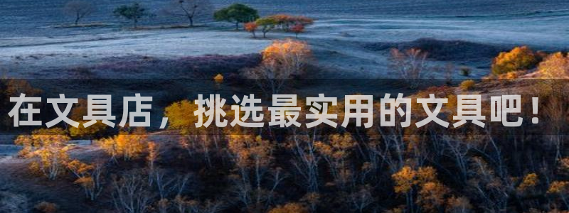 卧龙娱乐招商代理是谁：在文具店，挑选最实