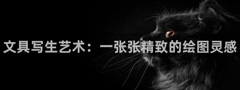 卧龙娱乐挂机平台官网：文具写生艺术：一张