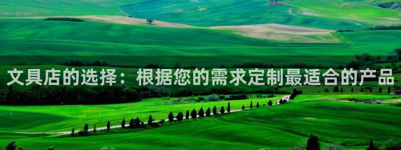 卧龙娱乐彩下载：文具店的选择：根据您的需