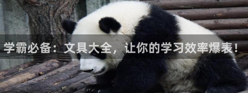 卧龙娱乐挂机平台：学霸必备：文具大全，让