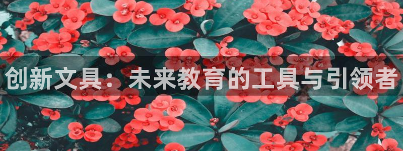 卧龙娱乐是哪个系列：创新文具：未来教育的