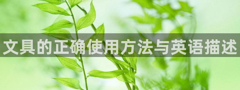 卧龙娱乐代理：文具的正确使用方法与英语描