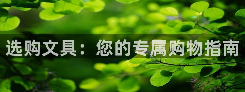 卧龙娱乐左7O667：选购文具：您的专属
