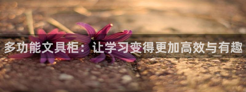 卧龙娱乐月7O667：多功能文具柜：让学