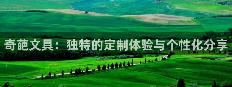 卧龙娱乐网址多少：奇葩文具：独特的定制体