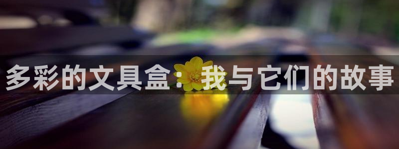 卧龙娱乐app彩票中奖：多彩的文具盒：我