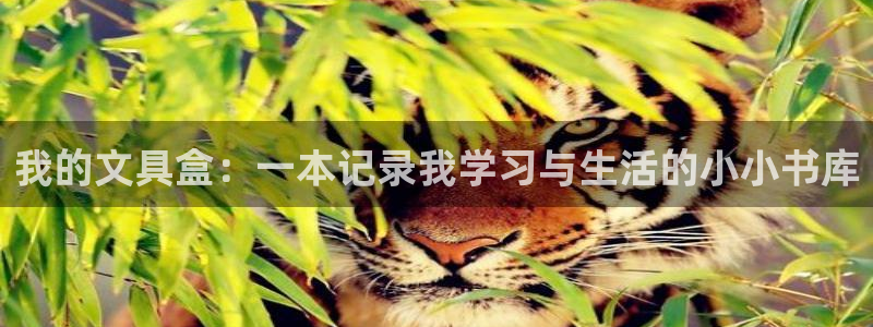 pt娱乐 卧龙主管60447：我的文具盒