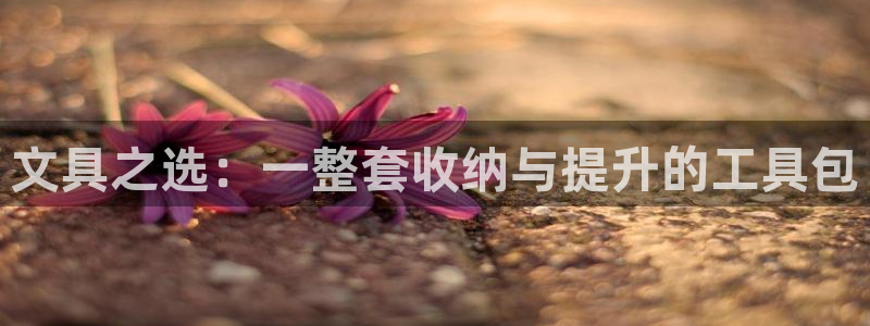 卧龙娱乐右7O667：文具之选：一整套收