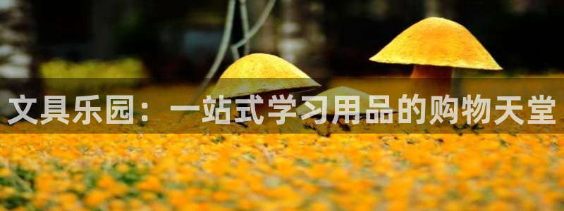 卧龙娱乐总管是谁呀：文具乐园：一站式学习