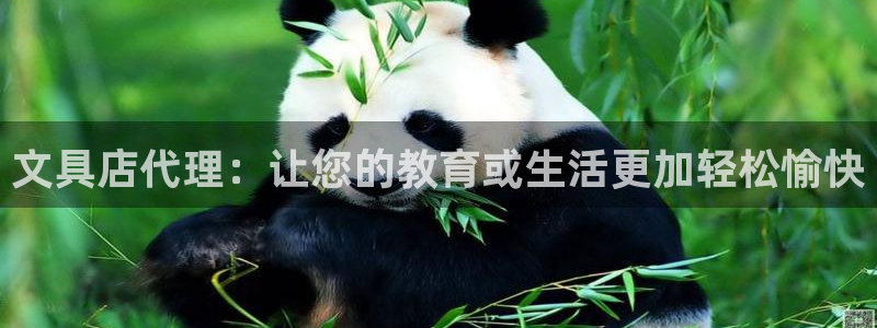 卧龙娱乐app彩票中奖：文具店代理：让您