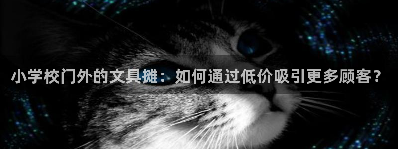 卧龙娱乐 找86555：小学校门外的文具