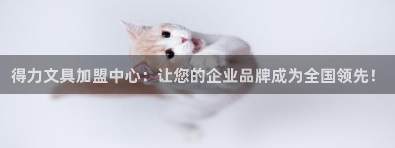 南阳卧龙站到尊上娱乐：得力文具加盟中心：