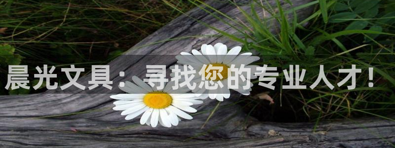 卧龙娱乐注册登录网址：晨光文具：寻找您的
